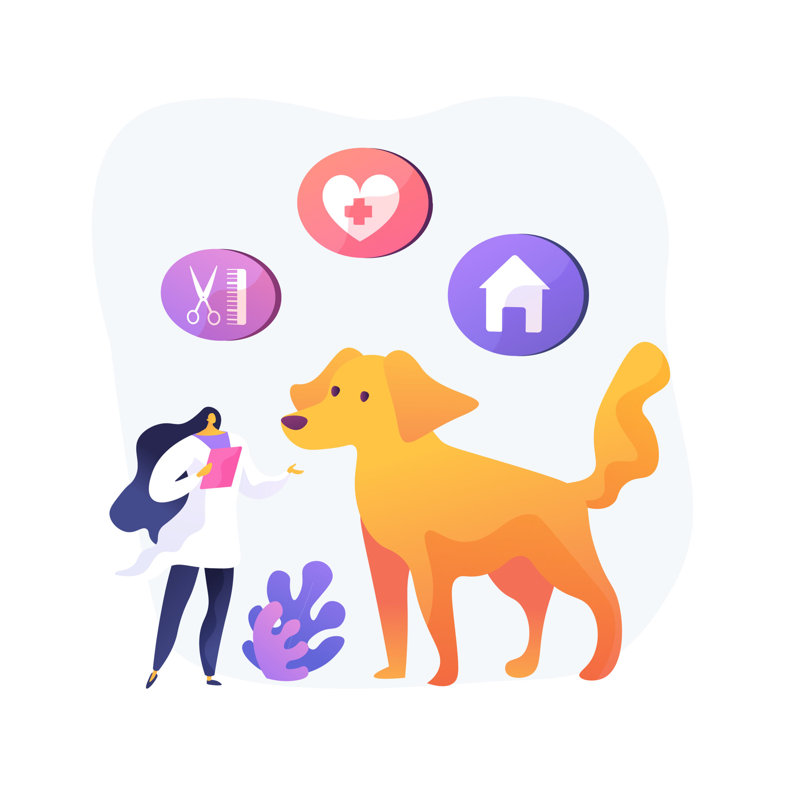 pet insurance for dogs