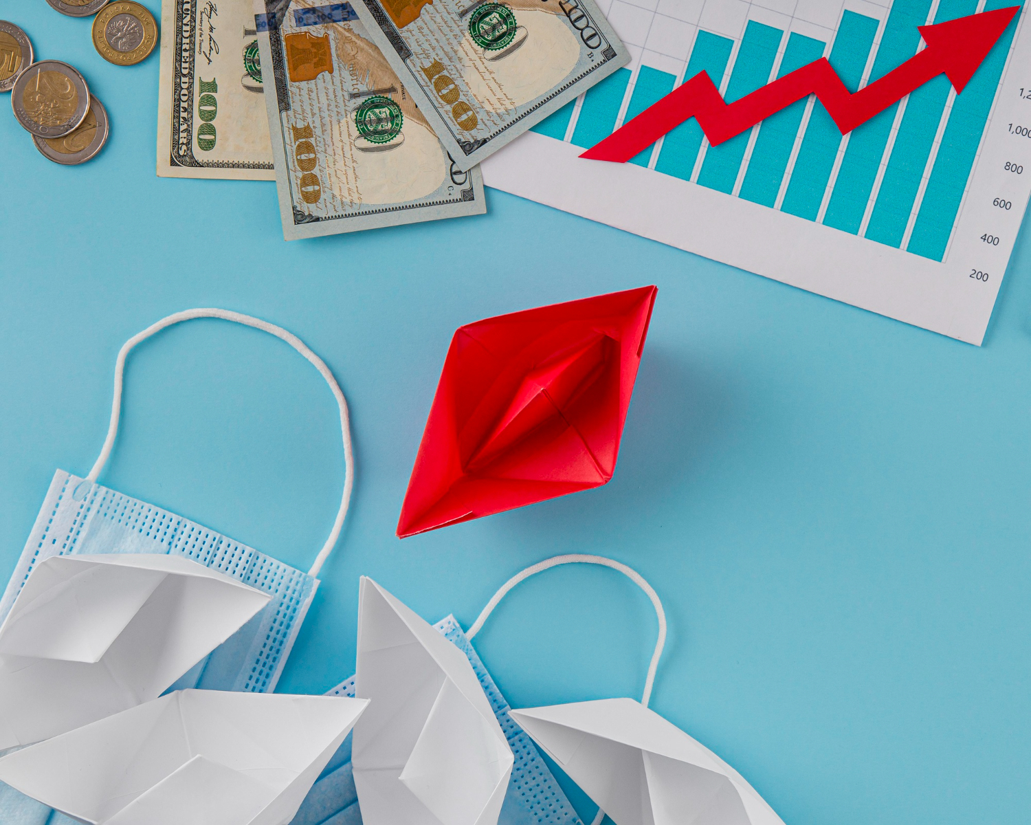 Budget in a Financial Crisis